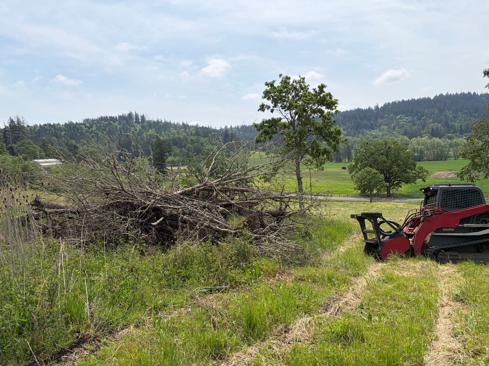 Turning a Slash Pile Into Clean Usable Ground image