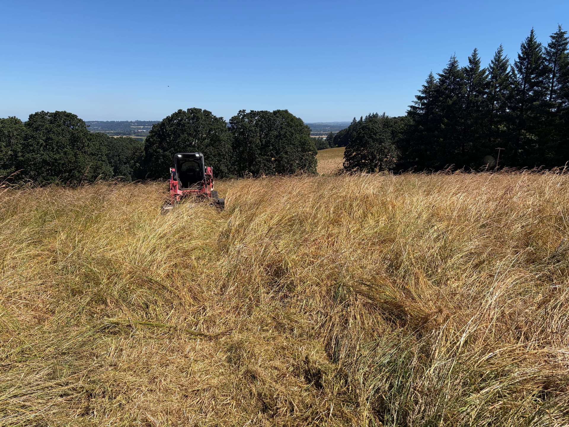 Field Mowing That Turns Overgrown Land Into Usable Property image
