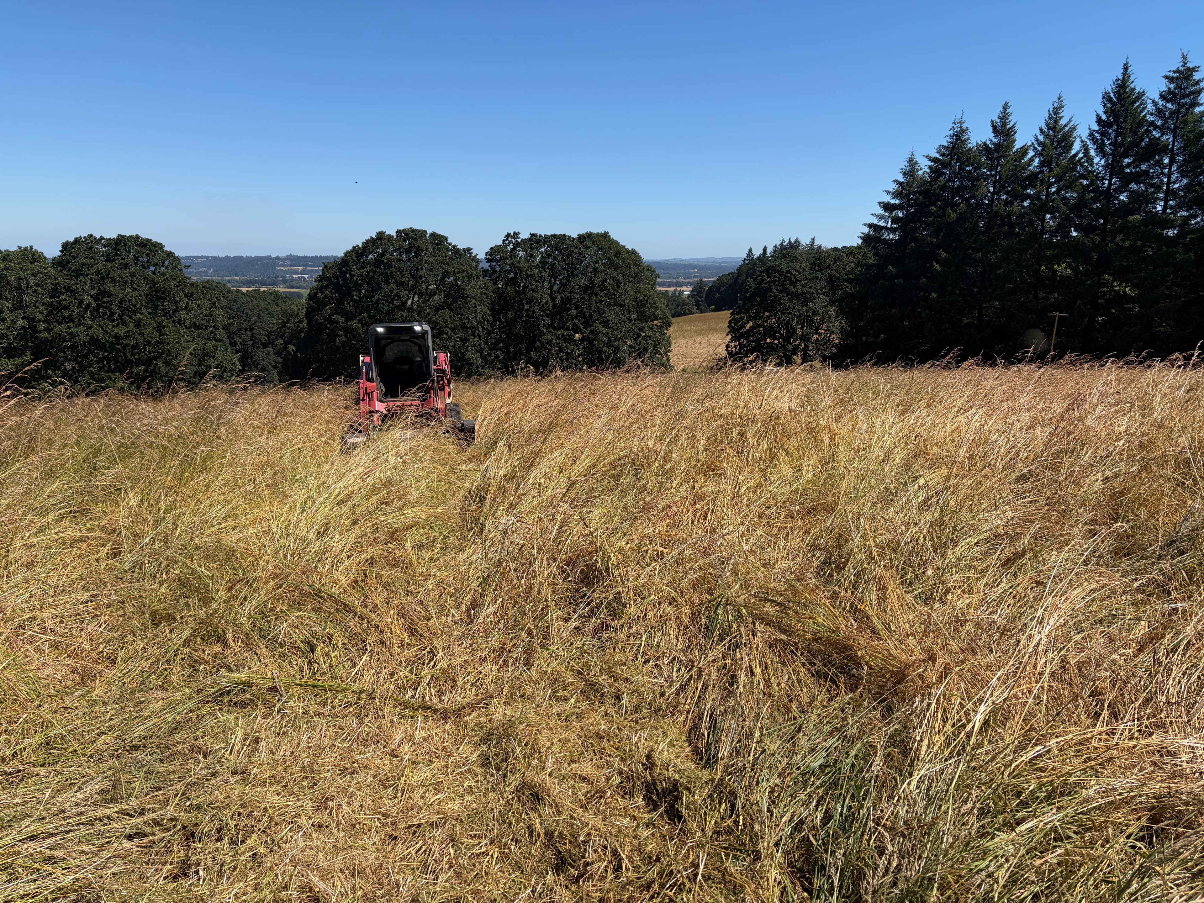 Project Field Mowing That Turns Overgrown Land Into Usable Property image
