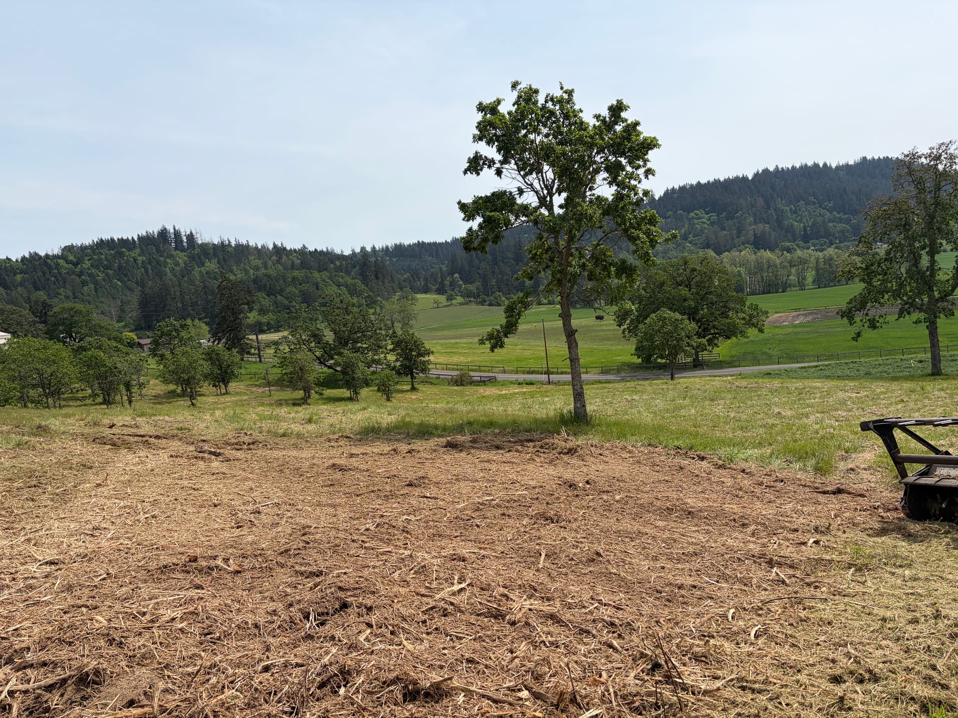 Gallery photos for Turning a Slash Pile Into Clean Usable Ground: Image #1