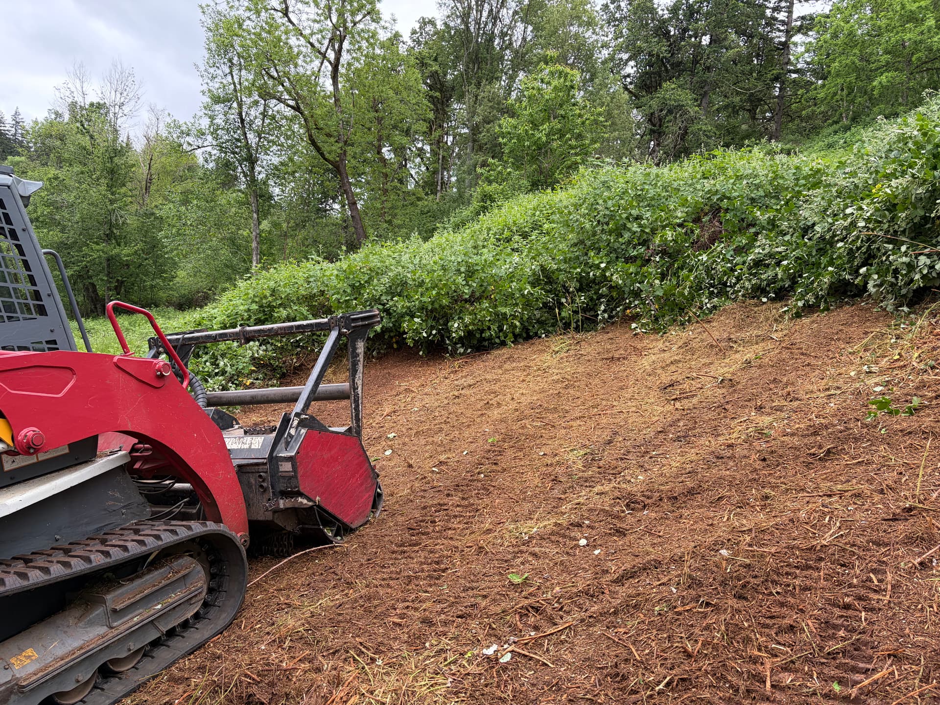 Gallery photos for Land Clearing for a Property Going on the Market: Image #4