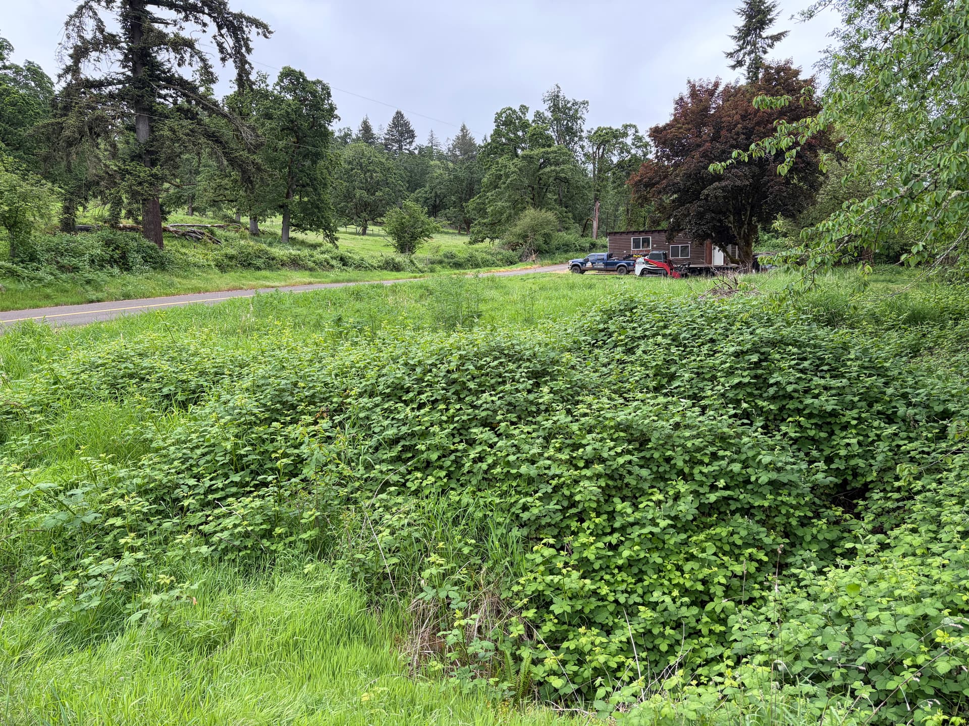 Gallery photos for Land Clearing for a Property Going on the Market: Image #2