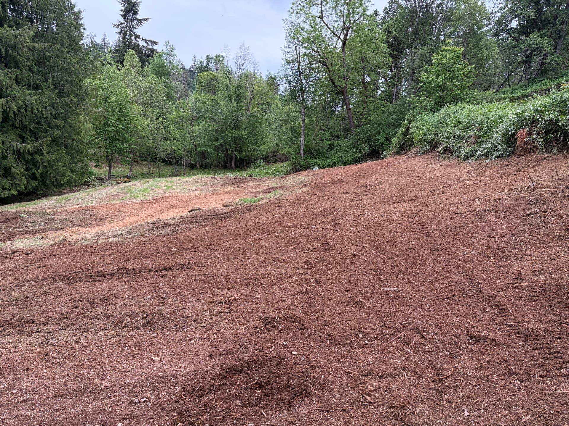 Gallery photos for Land Clearing for a Property Going on the Market: Image #1