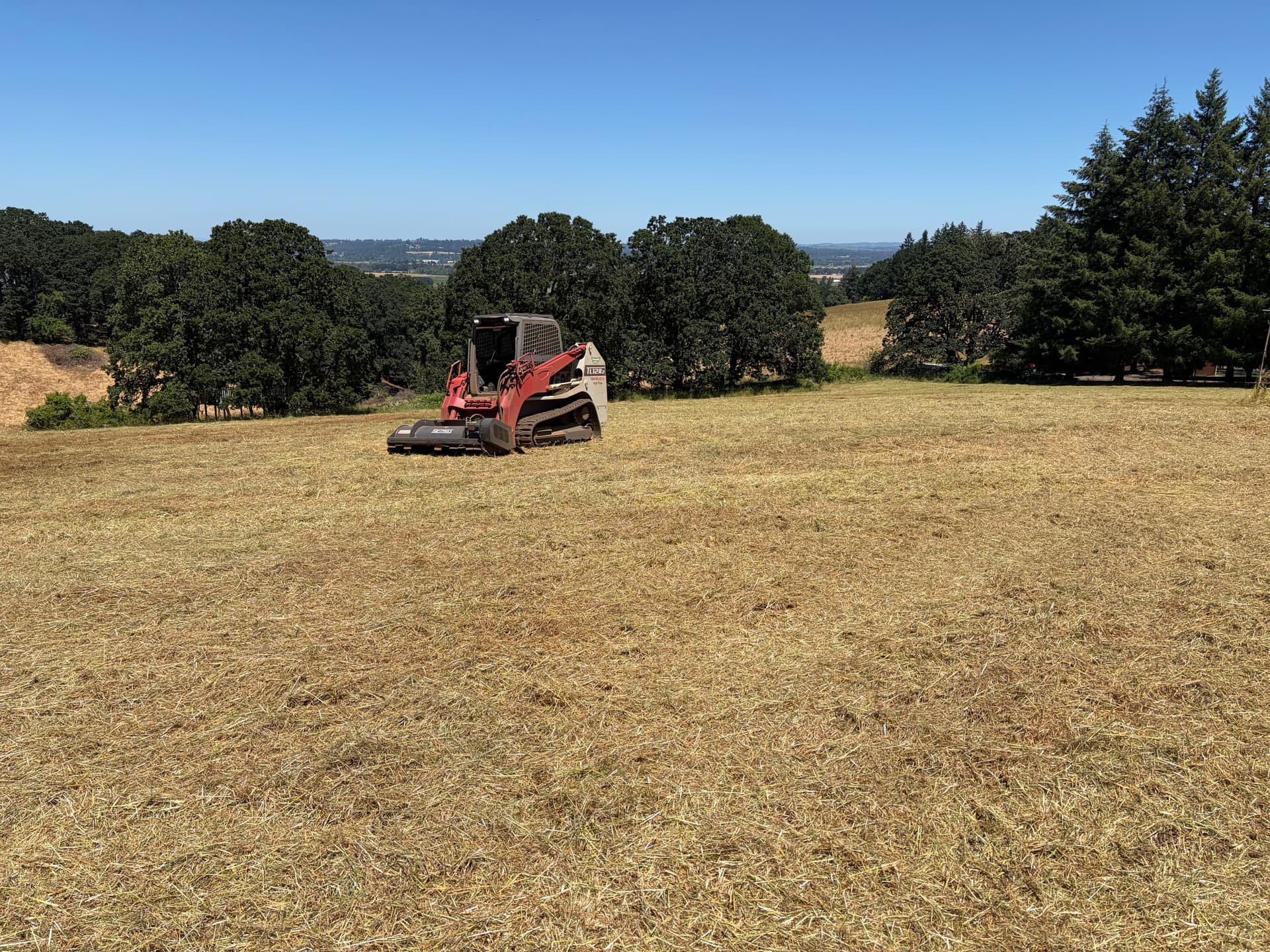 Gallery photos for Field Mowing That Turns Overgrown Land Into Usable Property: Image #1