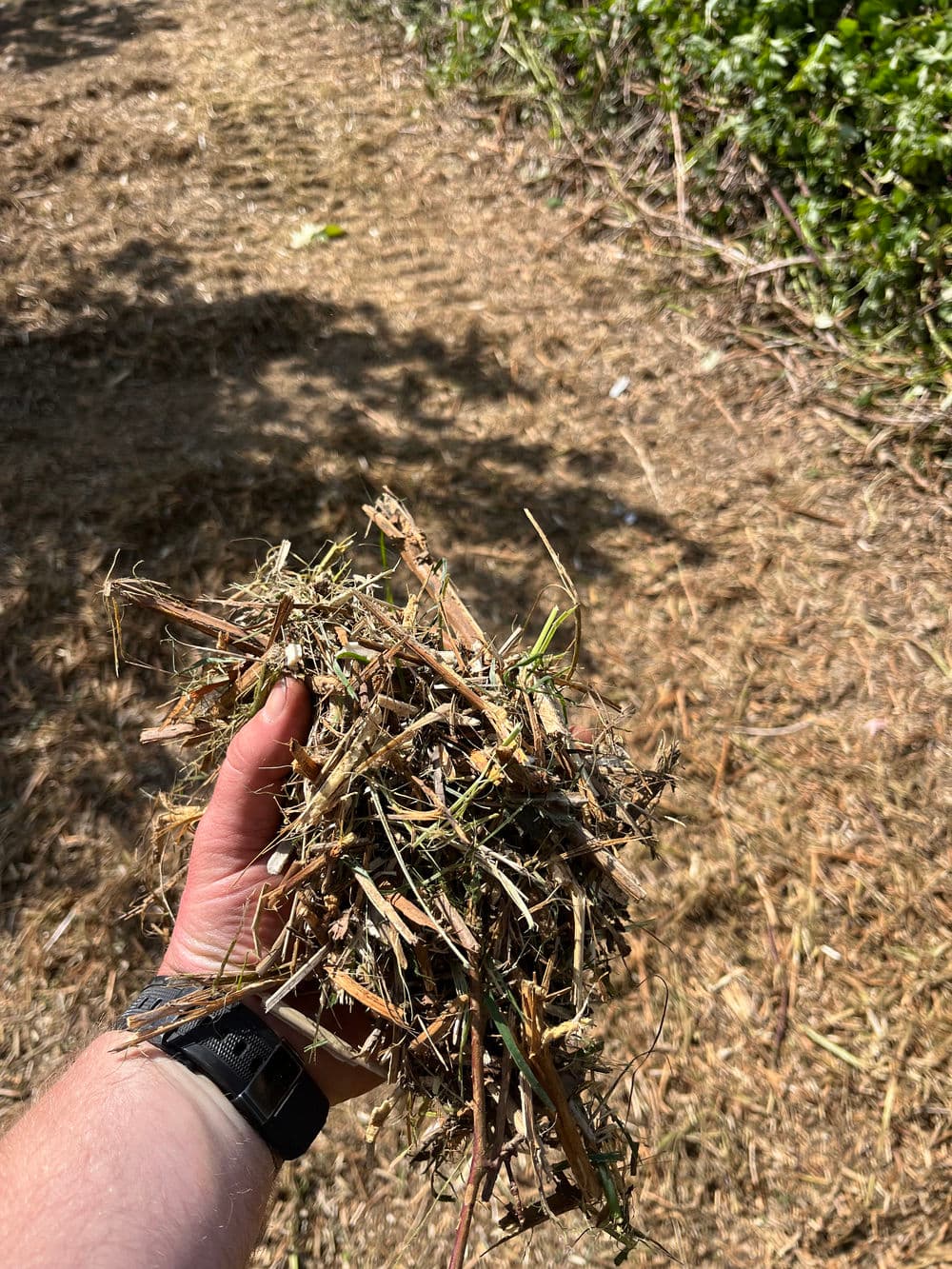 Land clearing process in action