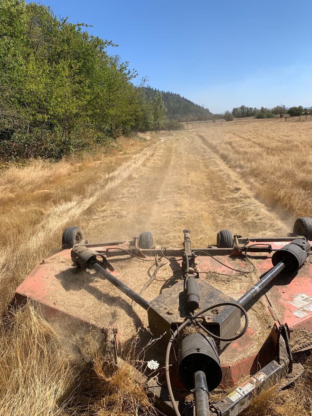Mower cutting dried grass in a sunny farm field with trees and mountains in the background.