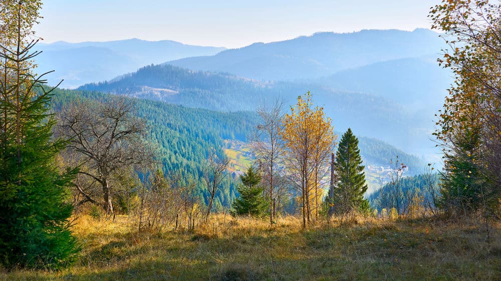 Owner Taylor and his wife in front of 2A Land Management truck