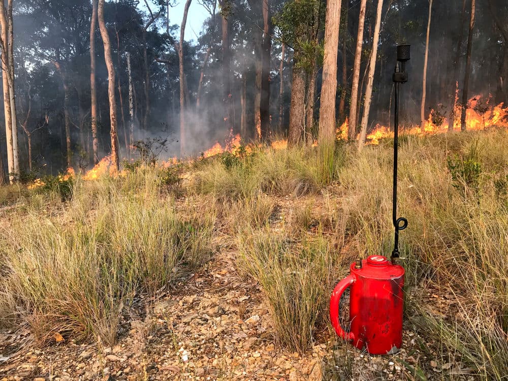 Red fire extinguisher near grass and burning trees in a forest fire setting.
